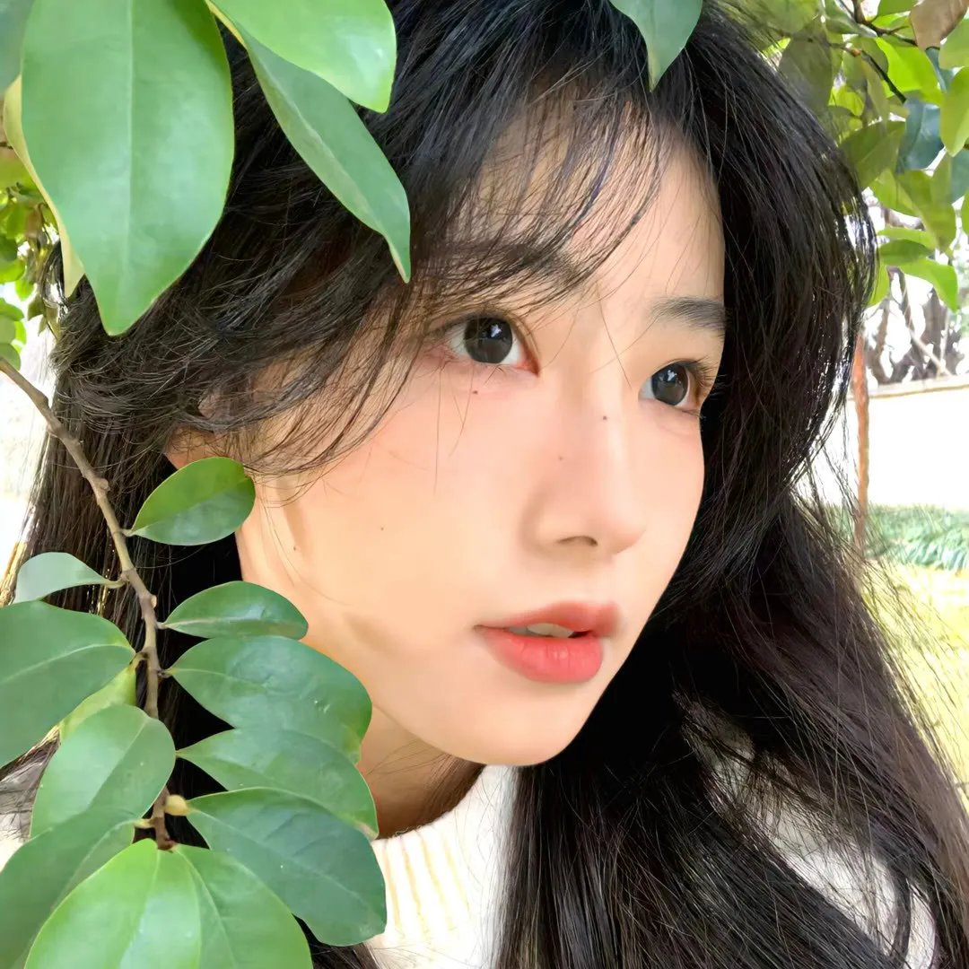 女性的先行者